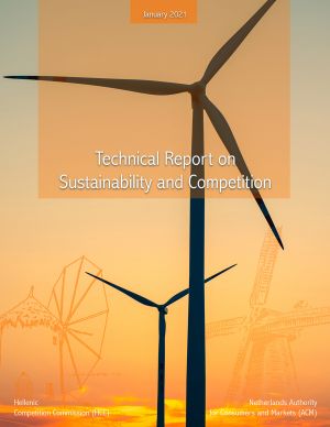 Technical Report on Sustainability and Competition